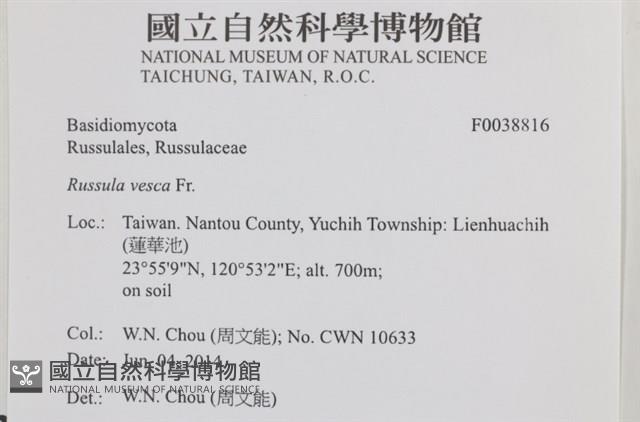 登錄號:F0038816藏品圖，第2張