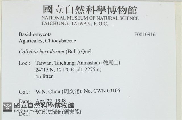 登錄號:F0010916藏品圖，第4張