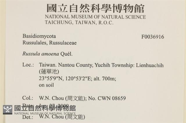 登錄號:F0036916藏品圖，第2張