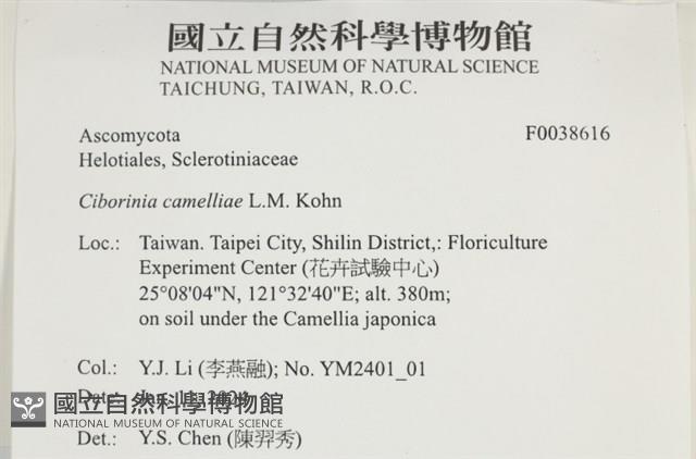 登錄號:F0038616藏品圖，第2張