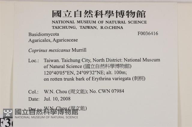 Accession Number:F0036416 Collection Image, Figure 2, Total 2 Figures