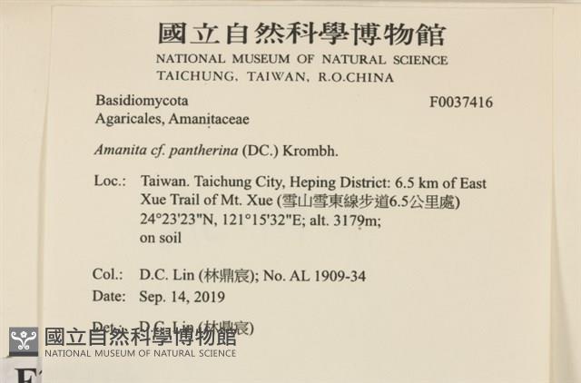 登錄號:F0037416藏品圖，第2張