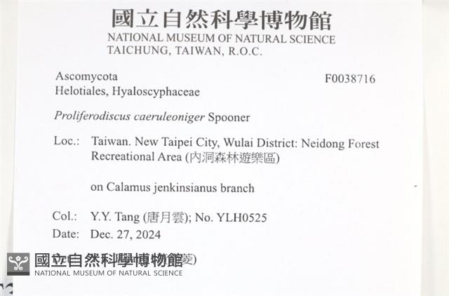 登錄號:F0038716藏品圖，第2張