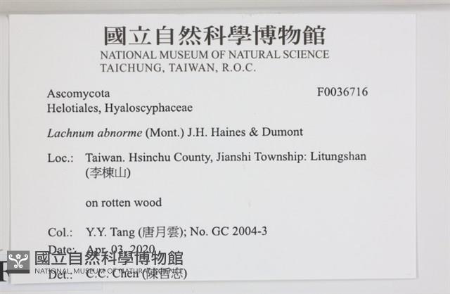 登錄號:F0036716藏品圖，第2張