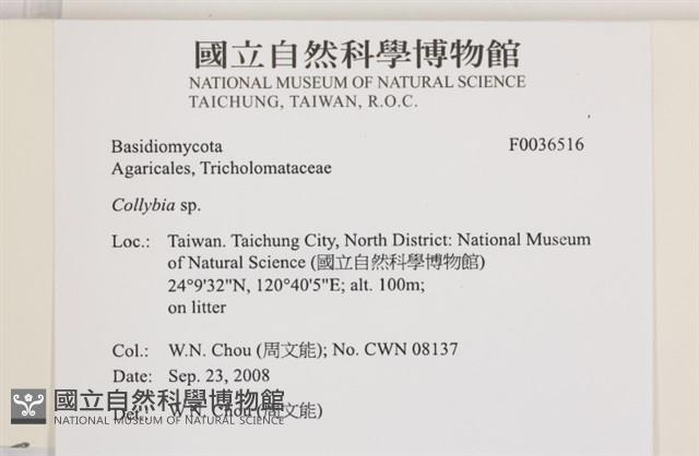 登錄號:F0036516藏品圖，第2張