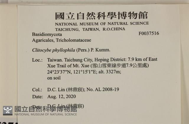 登錄號:F0037516藏品圖，第2張