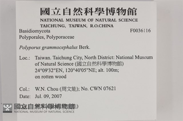 登錄號:F0036116藏品圖，第2張