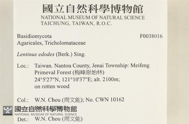 登錄號:F0038016藏品圖，第2張