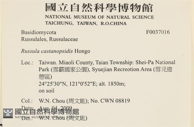 登錄號:F0037016藏品圖，第2張