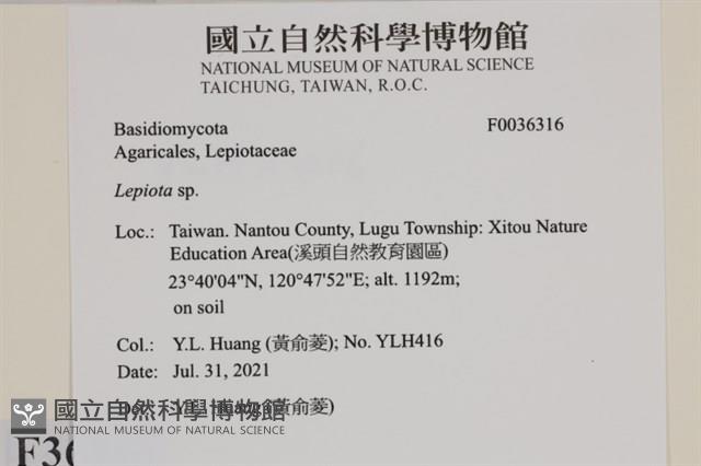 登錄號:F0036316藏品圖，第2張