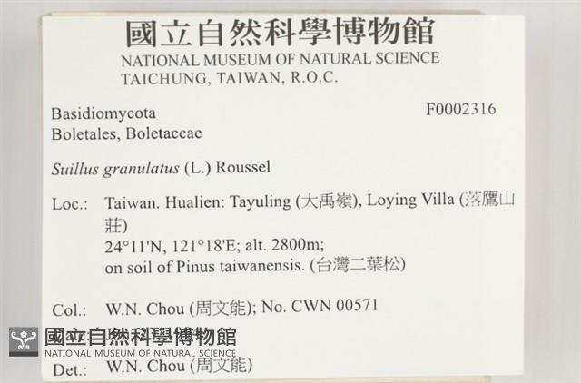 登錄號:F0002316藏品圖，第4張