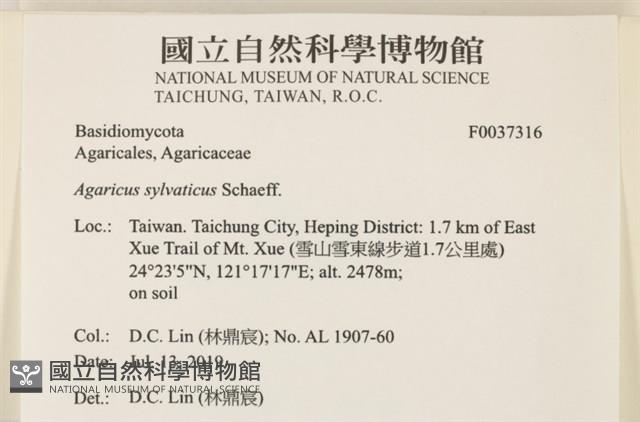 登錄號:F0037316藏品圖，第2張