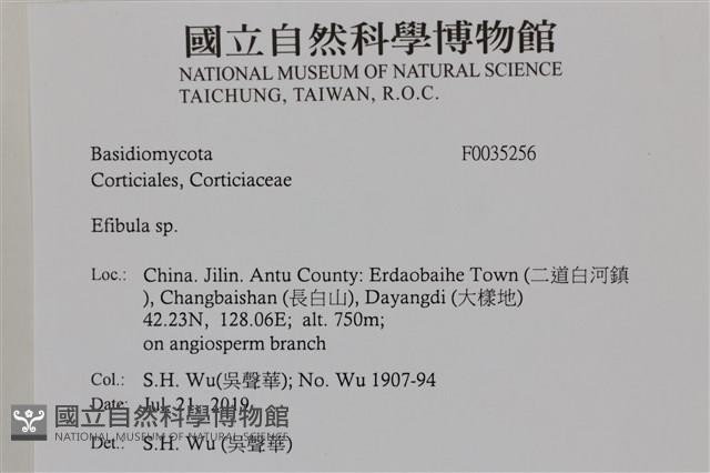 登錄號:F0035256藏品圖，第2張