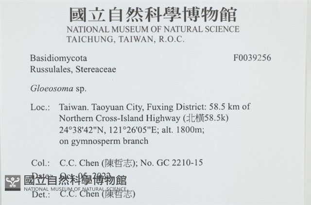 登錄號:F0039256藏品圖，第2張