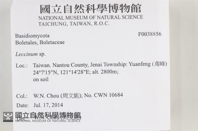 登錄號:F0038856藏品圖，第2張