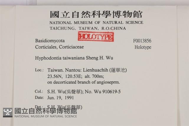 登錄號:F0013856藏品圖，第4張