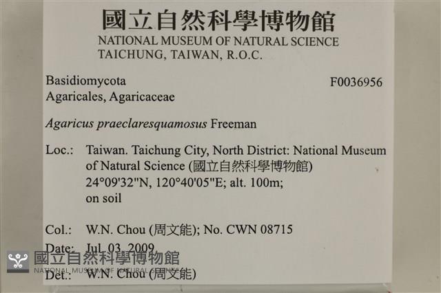 登錄號:F0036956藏品圖，第2張