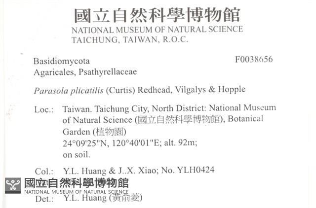 登錄號:F0038656藏品圖，第2張