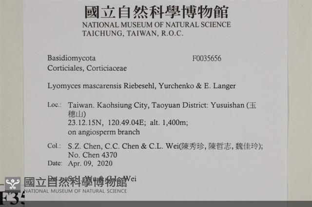 登錄號:F0035656藏品圖，第2張