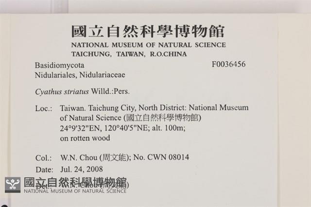 登錄號:F0036456藏品圖，第2張