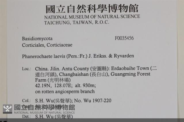 登錄號:F0035456藏品圖，第2張