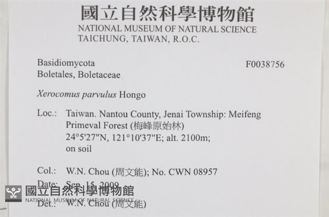 登錄號:F0038756藏品圖，第2張