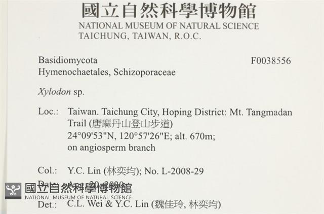 登錄號:F0038556藏品圖，第2張