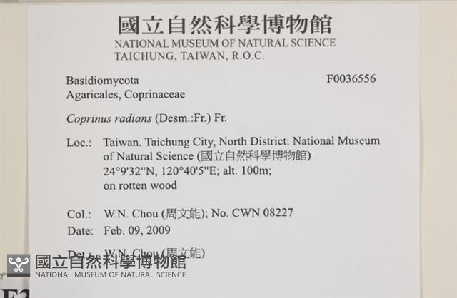 登錄號:F0036556藏品圖，第2張