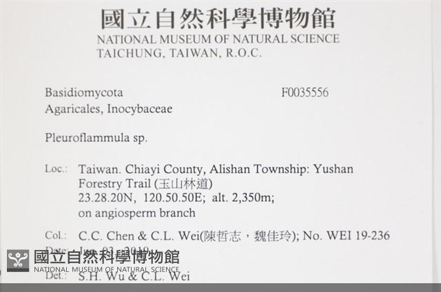 登錄號:F0035556藏品圖，第2張