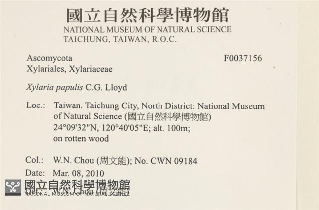 登錄號:F0037156藏品圖，第2張