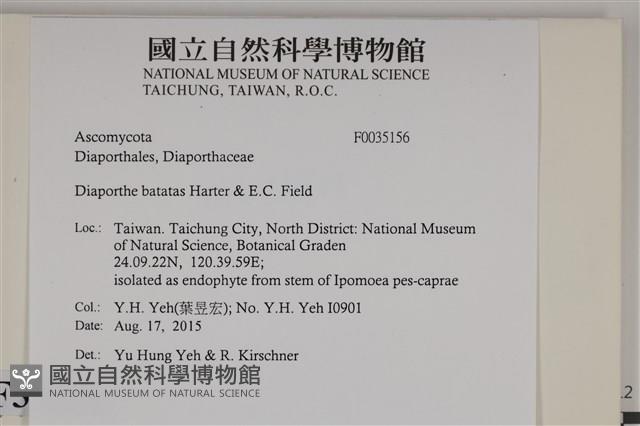 登錄號:F0035156藏品圖，第2張