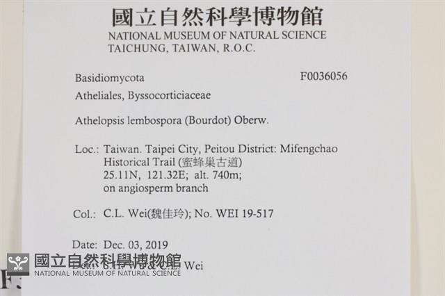 登錄號:F0036056藏品圖，第2張
