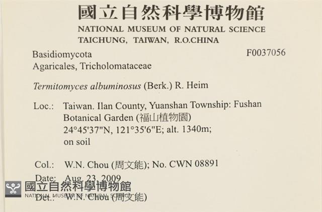 登錄號:F0037056藏品圖，第2張