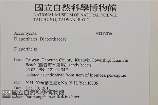 登錄號:F0035056藏品圖，第2張