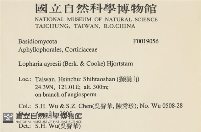 登錄號:F0019056藏品圖，第2張