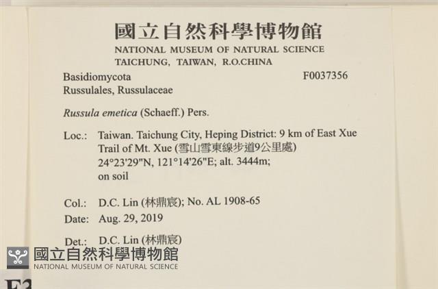 登錄號:F0037356藏品圖，第2張