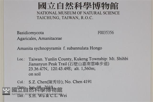 登錄號:F0035356藏品圖，第2張