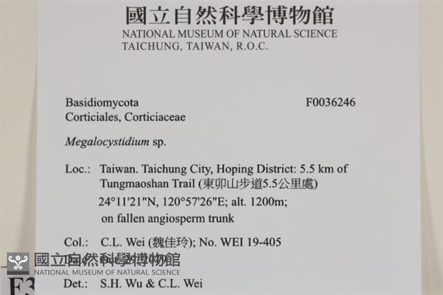 登錄號:F0036246藏品圖，第2張