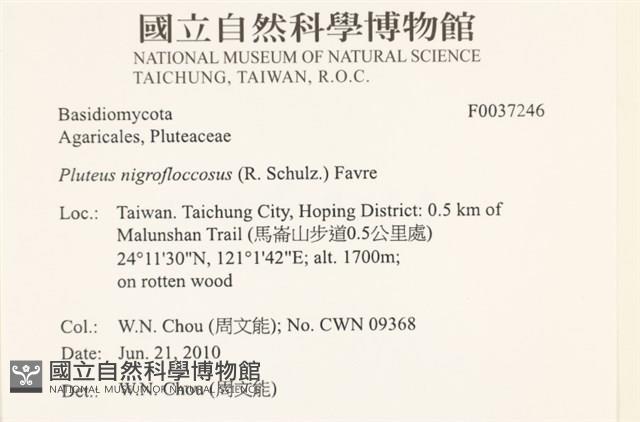 登錄號:F0037246藏品圖，第2張