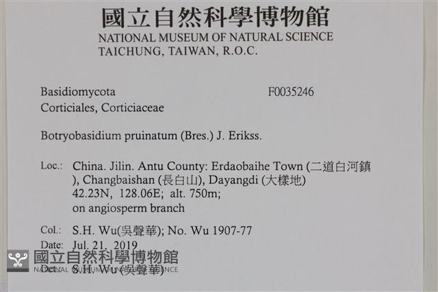 登錄號:F0035246藏品圖，第2張