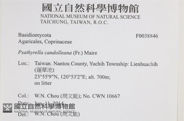 登錄號:F0038846藏品圖，第2張