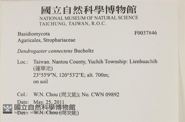 登錄號:F0037846藏品圖，第2張