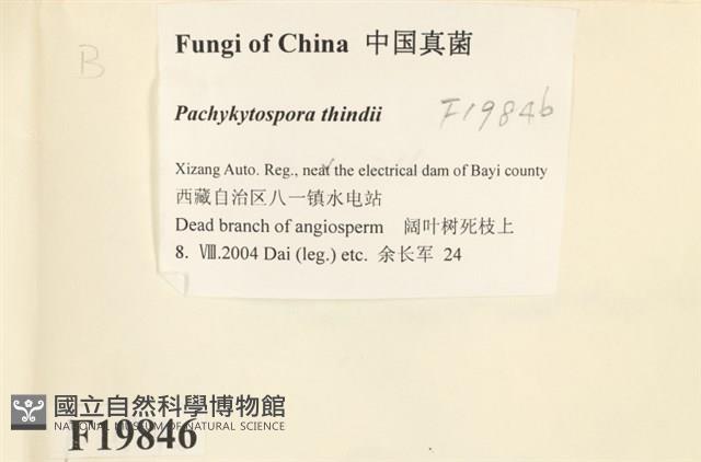 登錄號:F0019846藏品圖，第2張