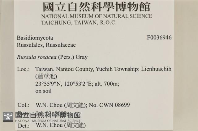 登錄號:F0036946藏品圖，第2張