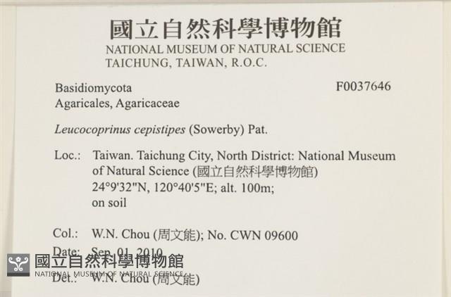 登錄號:F0037646藏品圖，第2張