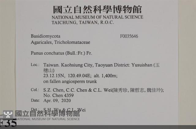 登錄號:F0035646藏品圖，第2張