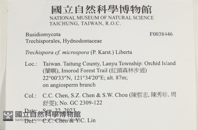 登錄號:F0038446藏品圖，第2張