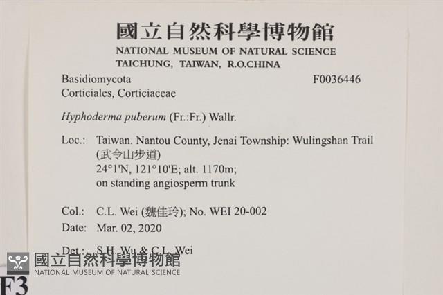 登錄號:F0036446藏品圖，第2張