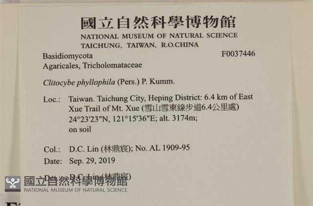 登錄號:F0037446藏品圖，第2張