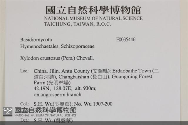 登錄號:F0035446藏品圖，第2張